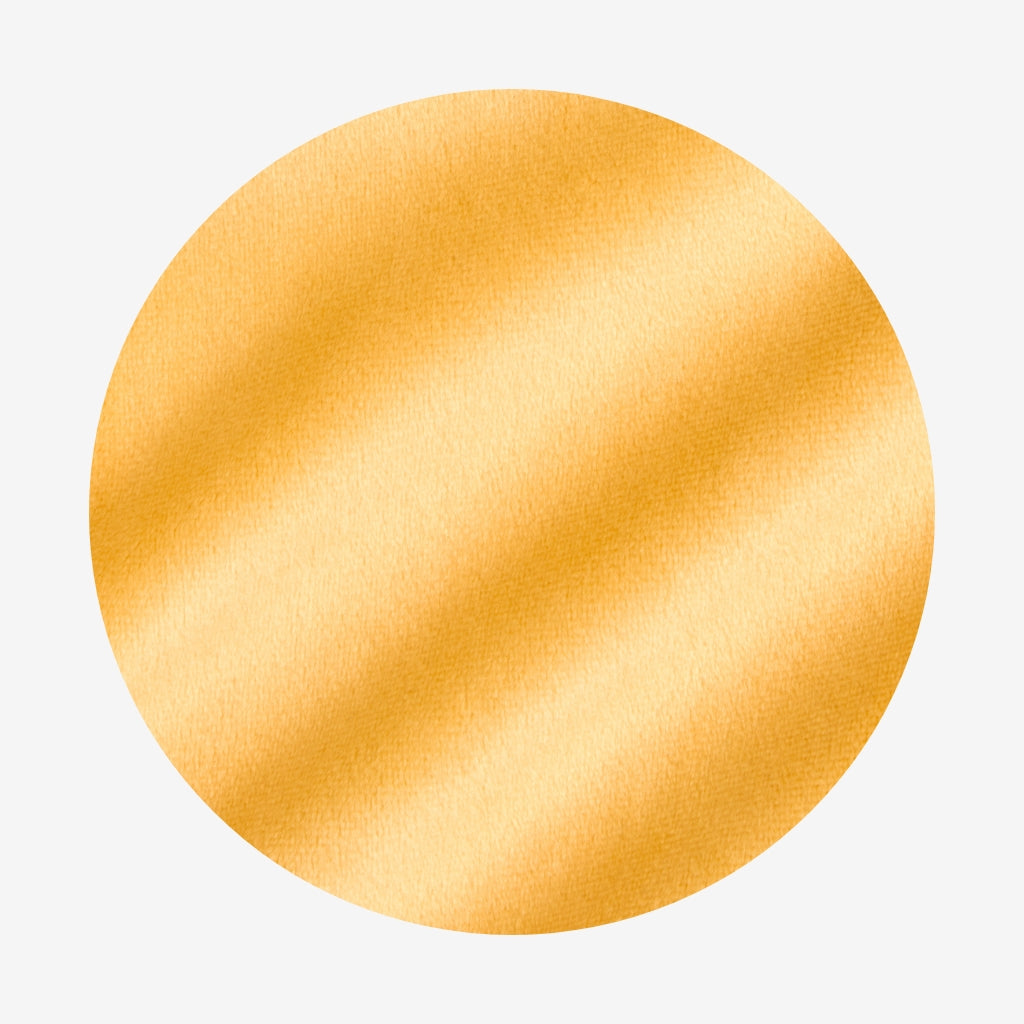 Disney Belle Velour Dress