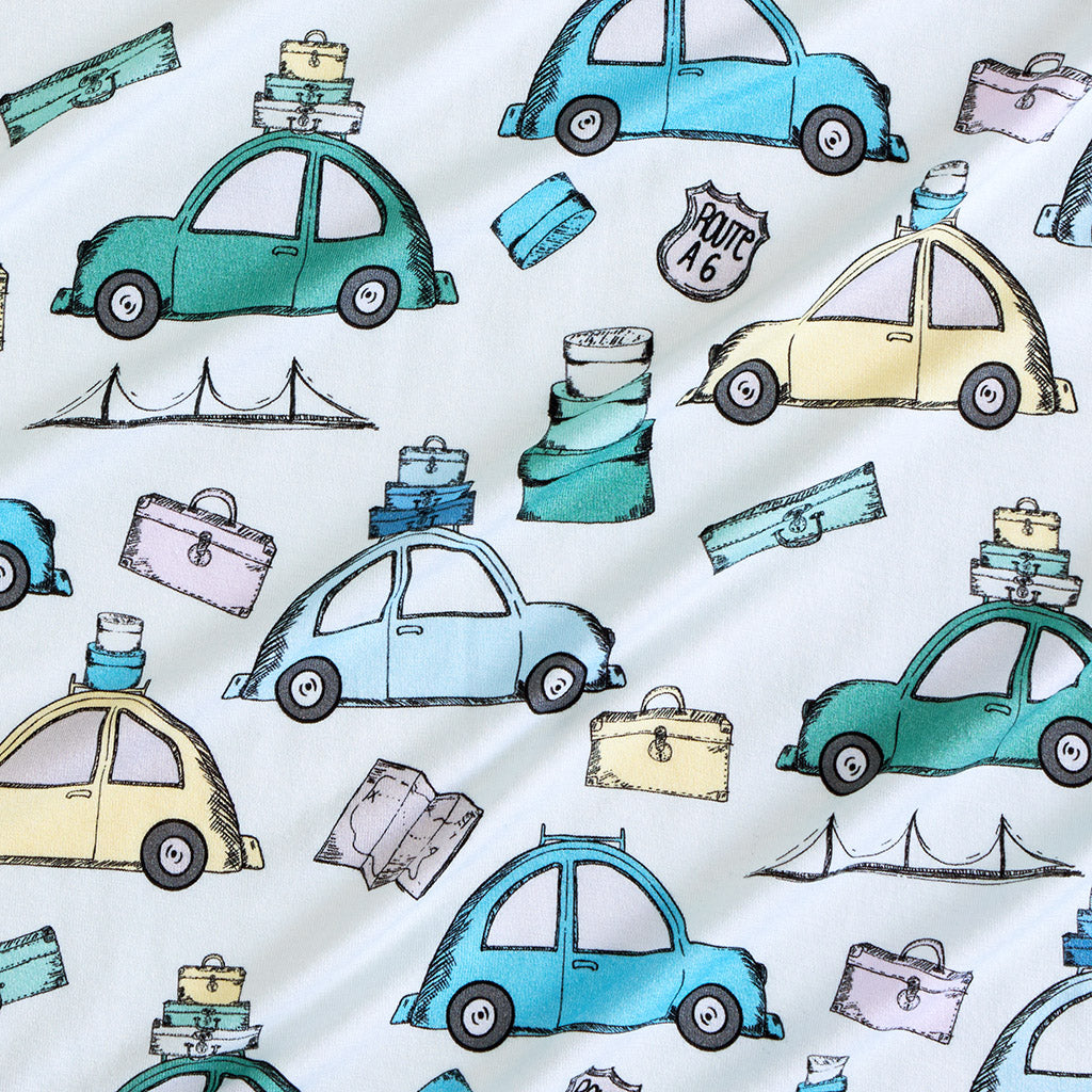 Travel Bug Swaddle Beanie Set