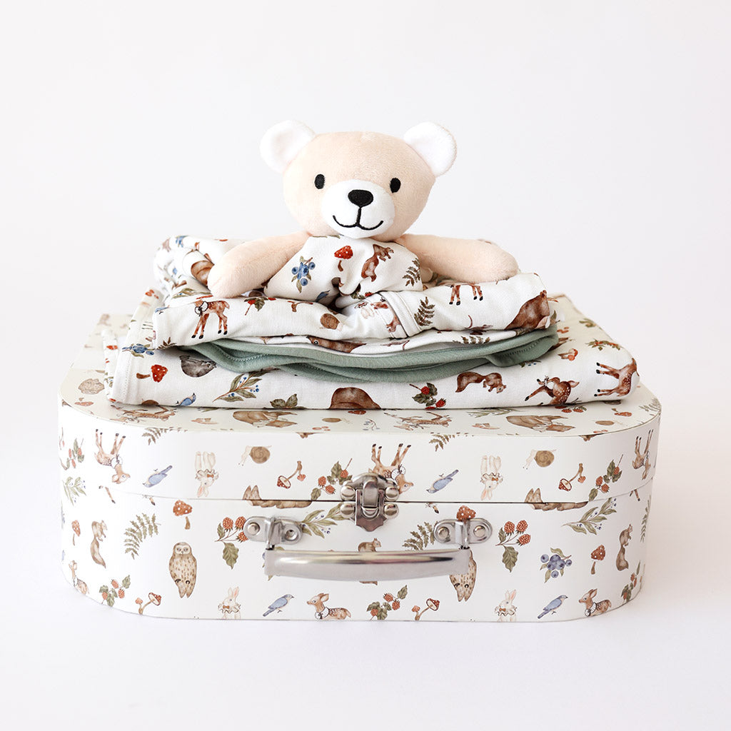 Iridessa Baby Gift Set