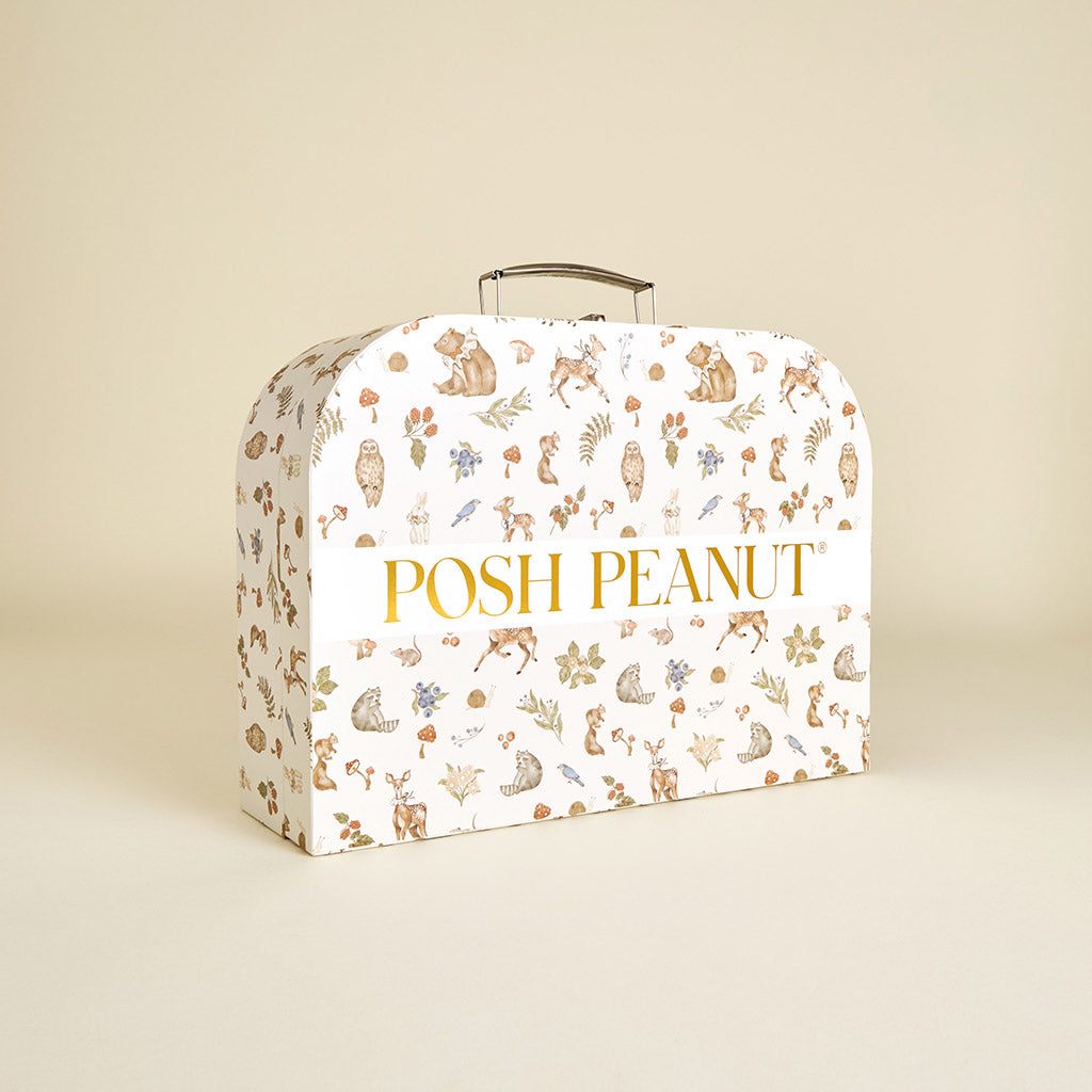 Iridessa Baby Gift Set