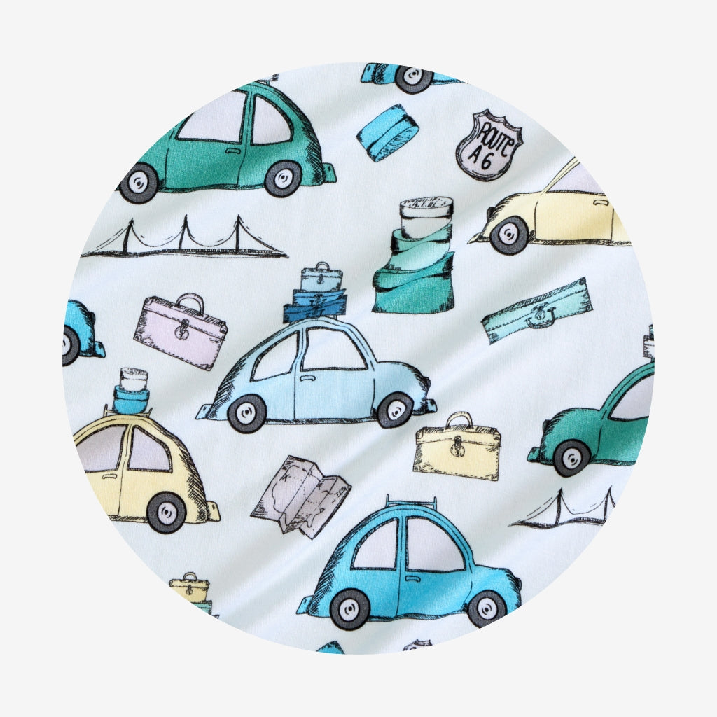 Travel Bug Swaddle Beanie Set